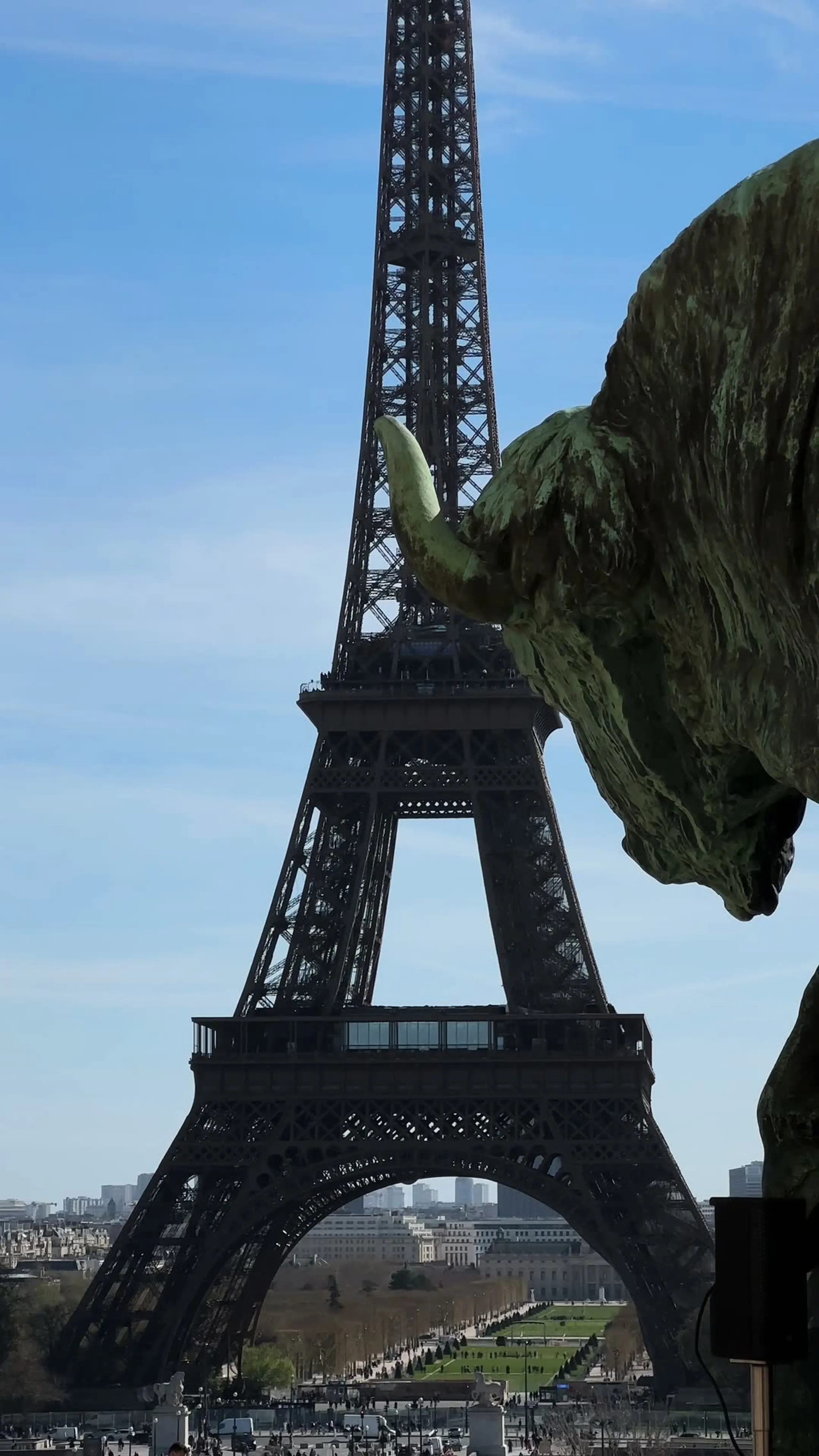 La terrasse du Café de l'Homme au Trocadéro, face à la tour Eiffel